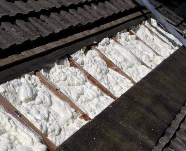mousse sous toiture