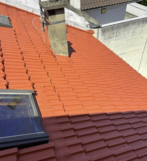 traitement coloré de toit